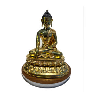 Clam Buddha in a meditative seated